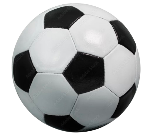 worldcup